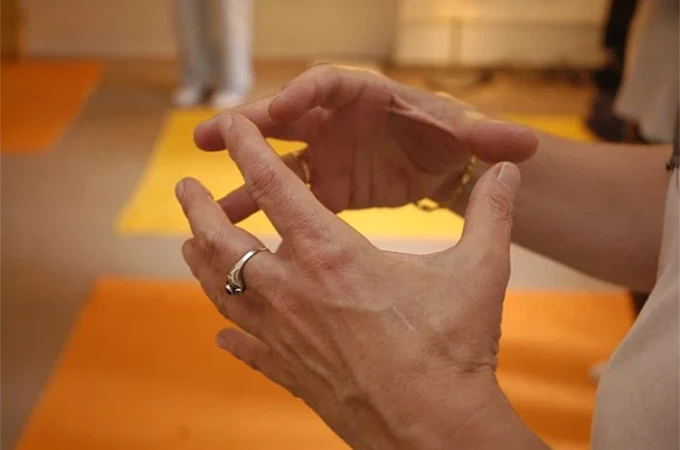 Associació Namaste - Gimnasio en Horta-Guinardó, Barcelona