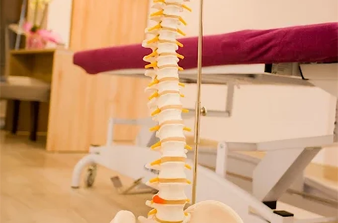 BODHIVITA Centre de Salut, especialistes en osteopatia i fisioteràpia - Gimnasio en Sant Andreu, Barcelona